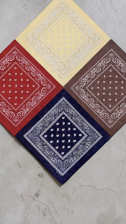 foulard Paisley